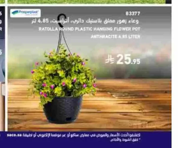 وعاء زهور معلق بلاستيك دائري أنثراسيت 4.85 لتر