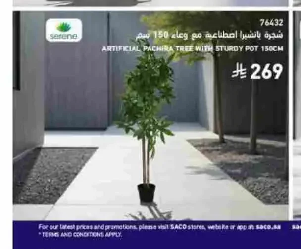 شجرة بانشيرا اصطناعية مع وعاء 150 سم