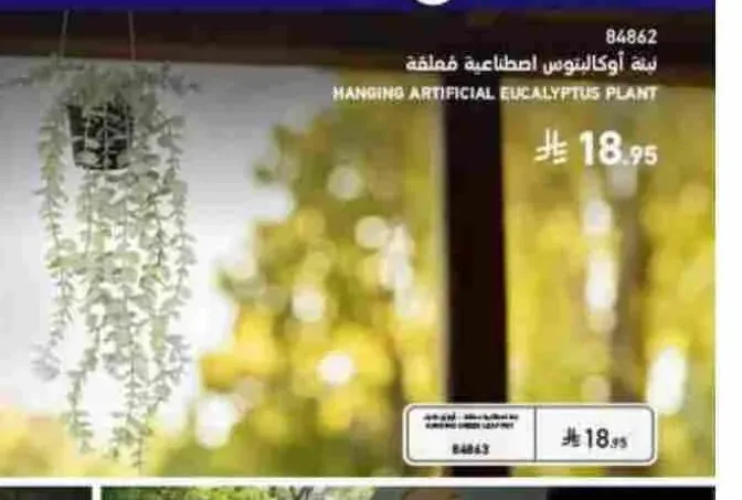 نبتة أوكالبتوس اصطناعية معلقة