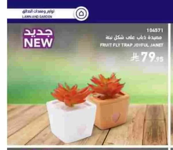مصيدة ذباب على شكل نبتة جوي فول جانيت