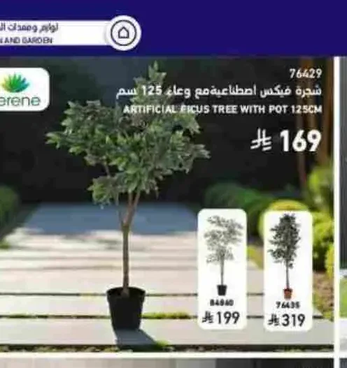 شجرة فيكس اصطناعية مع وعاء 125 سم