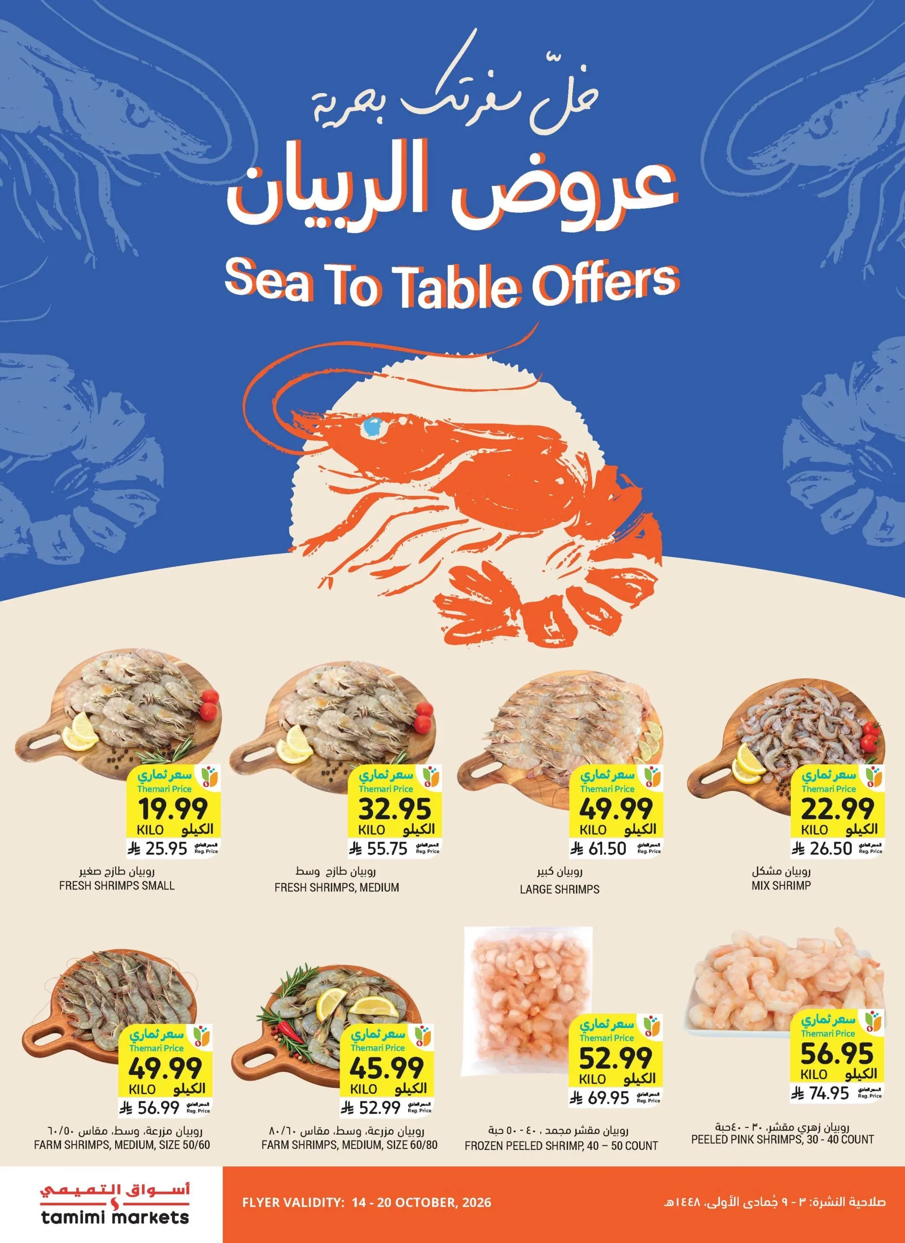 صفحة 11
