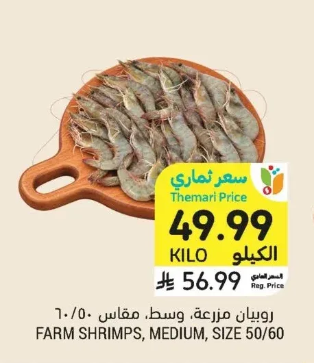 روبيان مزرعة، وسط، مقاس 60/50