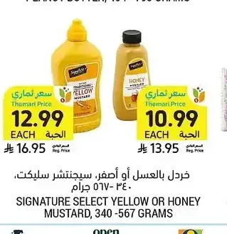 سيجنتشر سيلكت خردل بالعسل أو أصفر، 340 - 567 جرام