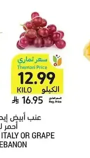 عنب أحمر لبنان