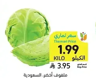 ملفوف أخضر، السعودية
