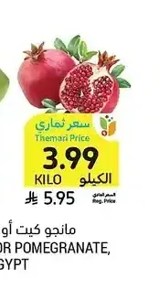 رمان، مصر