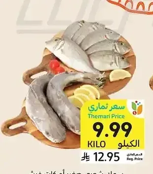 سمك شعري صغير أو كات فيش
