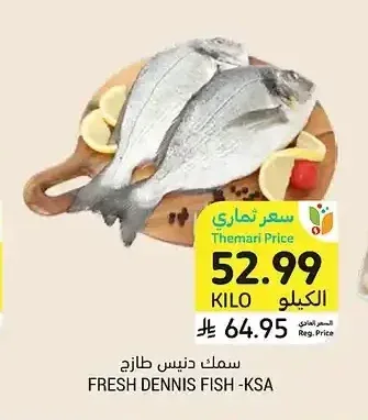 سمك دنيس طازج