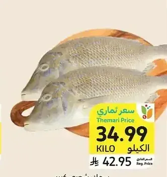 سمك شعري كبير