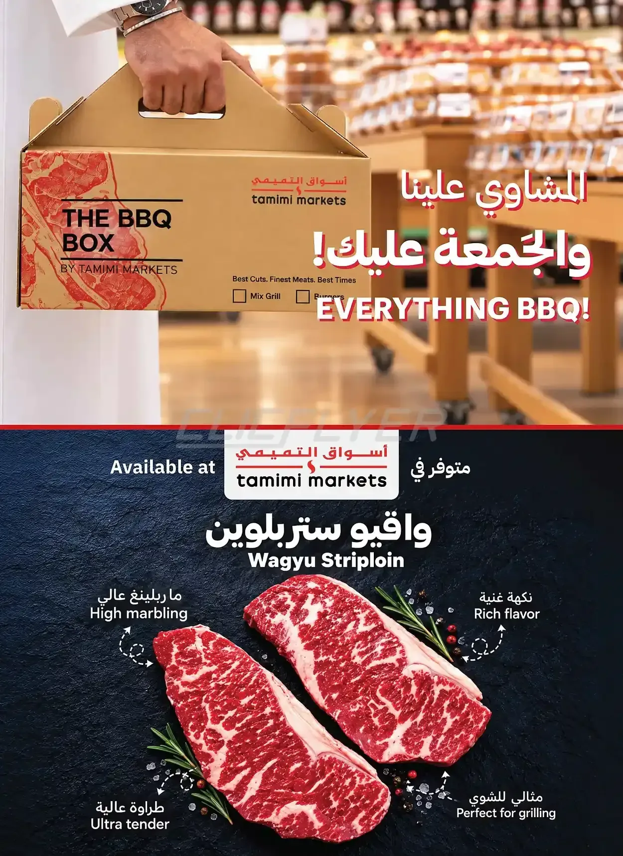صفحة 7