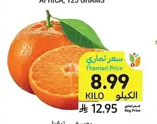 يوسفي، تركيا