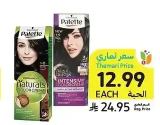 صبغة شعر باليت